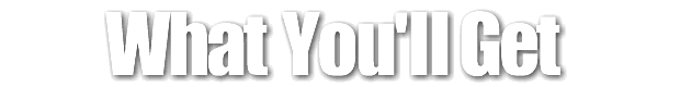 you-get